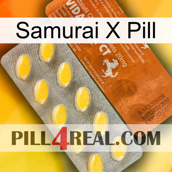 Samurai X Pill 42.jpg